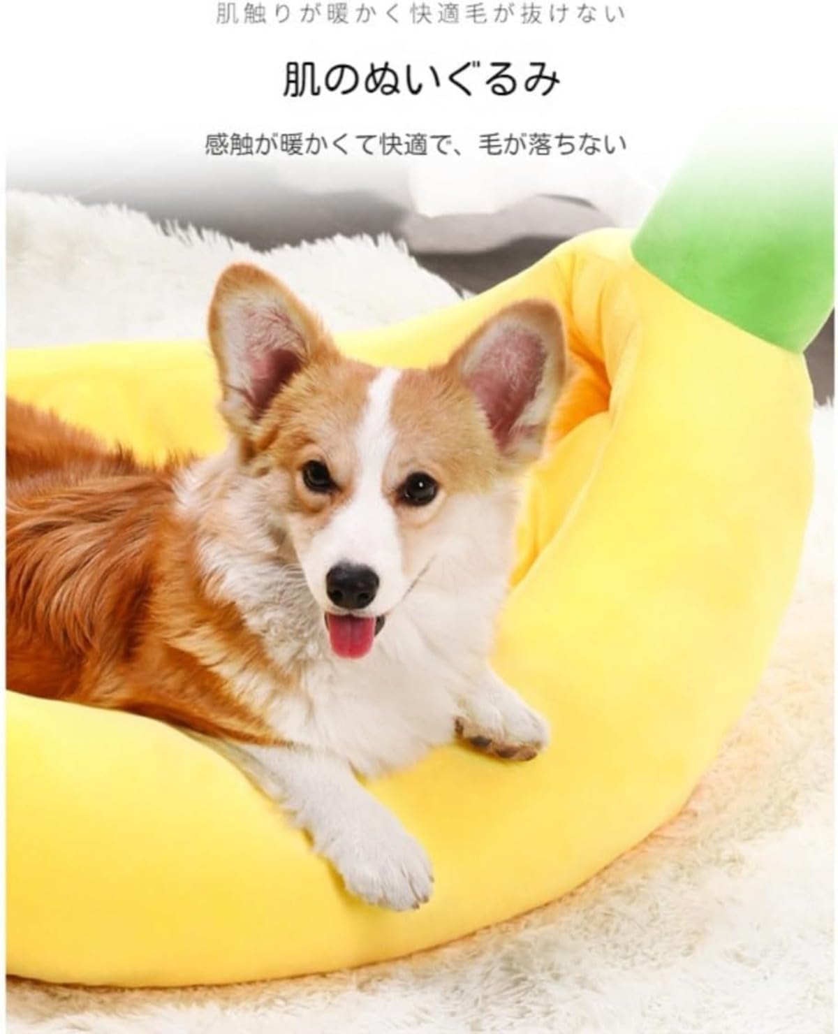 Amazon | Zehaiwl ペットベッド ペットハウス ペットソファ